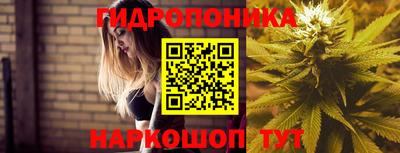 кокс Славгород