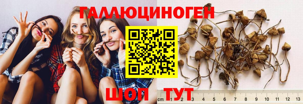 Галлюциногенные грибы прущие грибы  Вход с VPN  Нурлат 