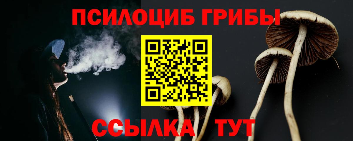 Псилоцибиновые грибы GOLDEN TEACHER Нурлат
